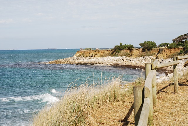 Que faire à l&rsquo;ile d&rsquo;Oléron-la Cotinière ?